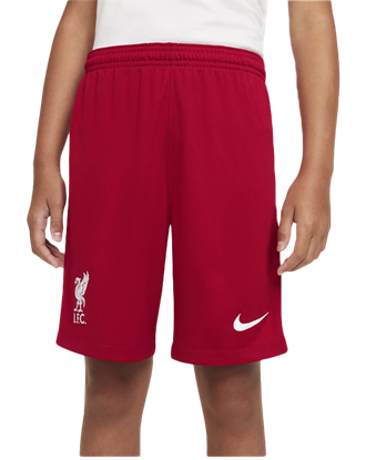 Picture of Nike Liverpool FC 20/21 Home Breathe Stadium Men's Football Shorts