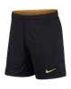 Picture of Nike FC Barcelona 20/21 Stadium Away Men's Football Shorts