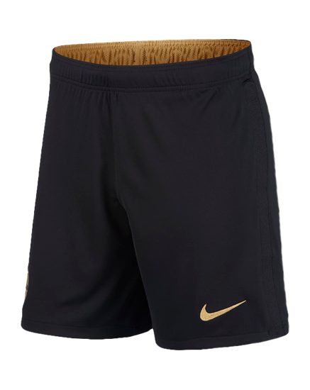 Picture of Nike FC Barcelona 20/21 Stadium Away Men's Football Shorts