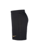 Picture of Nike FC Barcelona 20/21 Stadium Away Men's Football Shorts