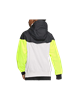 Picture of Boys' Nike Sportswear Windrunner Jacket