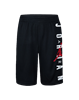 Picture of JDB JORDAN VERT MESH SHORT