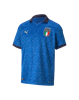 Picture of FIGC Home Shirt Replica Jr Tea