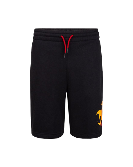 Picture of Nike Boys' Jordan Jumpman Fire Shorts