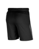 Picture of M NK DRY SHORT 5.0