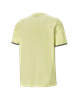 Picture of AMPLIFIED Tee Yellow Pear