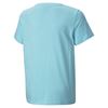 Picture of Alpha Graphic Tee B Angel Blue