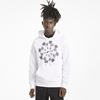 Picture of Avenir Hoodie TR Puma White