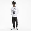 Picture of Avenir Hoodie TR Puma White