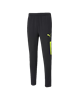 Picture of teamLIGA Training Pants Pro Pu