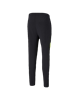 Picture of teamLIGA Training Pants Pro Pu