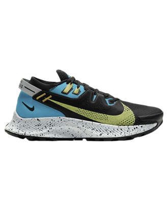 Picture of W NIKE PEGASUS TRAIL 2