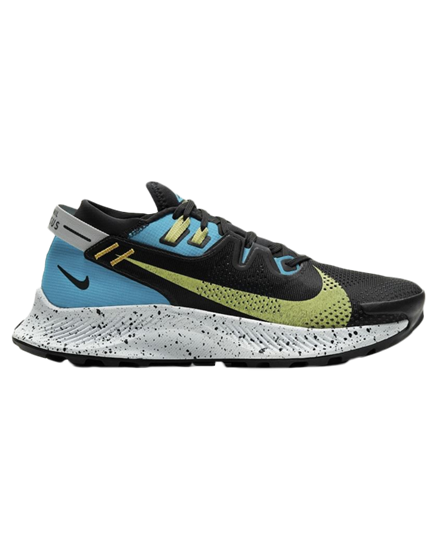 Picture of W NIKE PEGASUS TRAIL 2