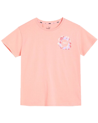 Picture of Alpha Silhouette Tee G Apricot