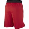 Picture of M NK DRY HBR SHORT 2.0