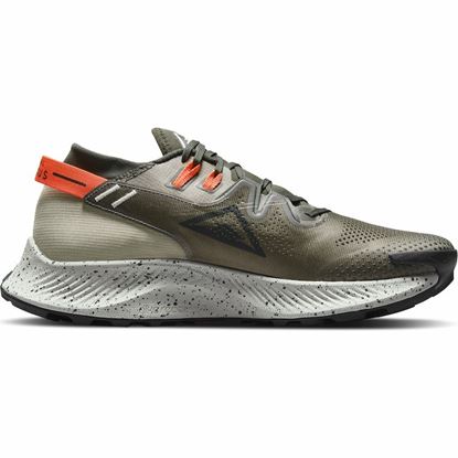 Picture of NIKE PEGASUS TRAIL 2