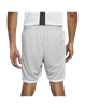 Picture of M J JUMPMAN GFX MESH SHORT