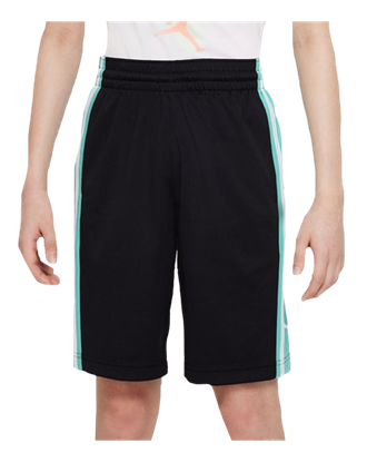 Picture of JDB AIR JORDAN HBR BBALL SHORT