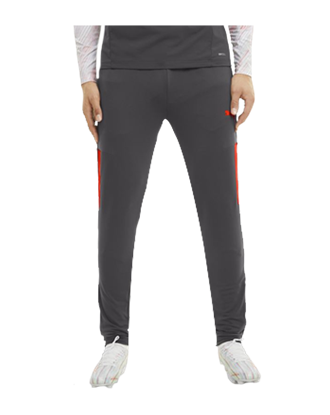 Picture of teamLIGA Training Pants Pro As