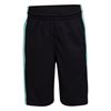 Picture of JDB AIR JORDAN HBR BBALL SHORT