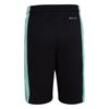 Picture of JDB AIR JORDAN HBR BBALL SHORT