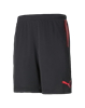 Picture of individualCUP Shorts Puma Blac