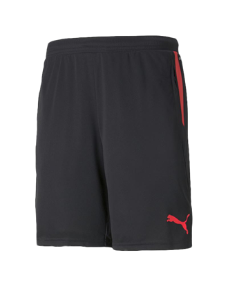 Picture of individualCUP Shorts Puma Blac