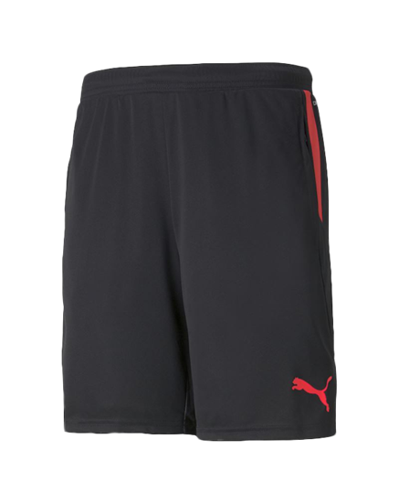 Picture of individualCUP Shorts Puma Blac