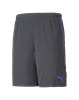 Picture of individualCUP Shorts Asphalt-B