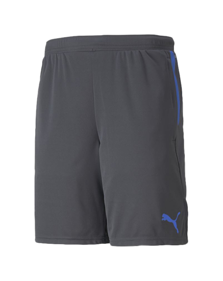 Picture of individualCUP Shorts Asphalt-B