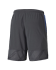 Picture of individualCUP Shorts Asphalt-B