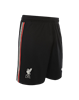 Picture of LFC M NK STADIUM SHORT AW