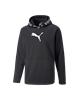 Picture of TRAIN PWR FLEECE HOODIE Puma B