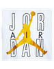 Picture of JDG JORDAN AIR SHINE