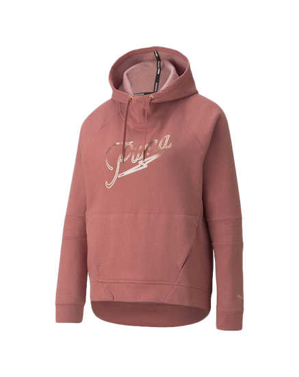 Picture of Moto Pullover Hoodie Mauvewood