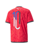 Picture of NEYMAR JR Futebol Jersey Sunbl