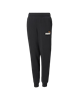 Picture of ESS+ 2 Col Logo Pants FL cl B