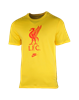 Picture of LFC M NK FUTR CREST TEE