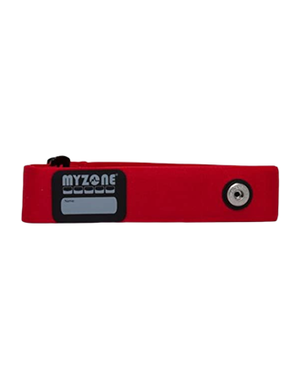 Picture of MZ-1 / MZ-3 Replacement Strap