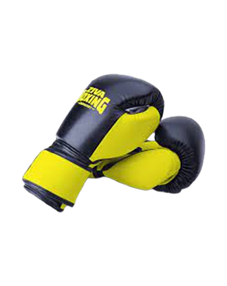 Picture of ZIVA Performance Boxing Gloves