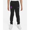 Picture of FCB Y NK DF TRAVEL FLC PANT CL