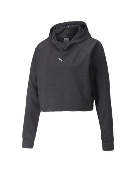 Picture of Flawless Pullover Hoodie Puma