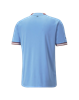 Picture of MCFC Home Jersey Replica Team