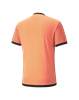 Picture of PUMA FUßBALL PARK Jersey Neon