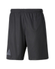 Picture of PUMA FUßBALL PARK Shorts Puma