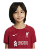 Picture of LFC LK NK DF KIT HM