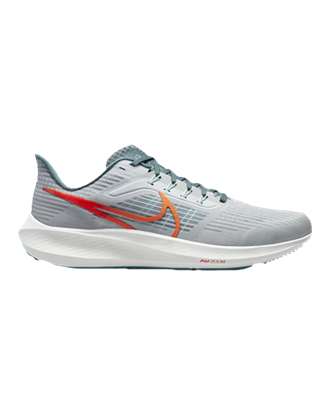 Picture of NIKE AIR ZOOM PEGASUS 39